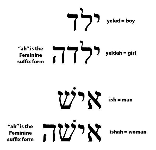 Hebrew 101 Hebrewlinguistics
